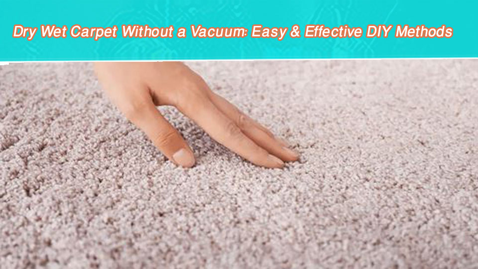 Dry Wet Carpet Without a Vacuum: Easy & Effective DIY Methods