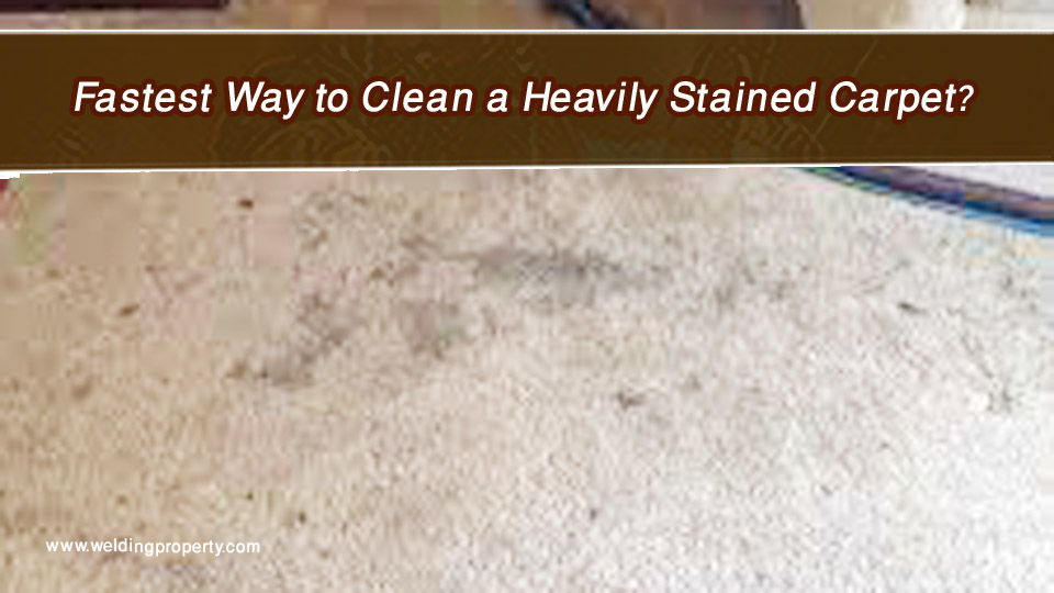 Fastest Way to Clean a Heavily Stained Carpet