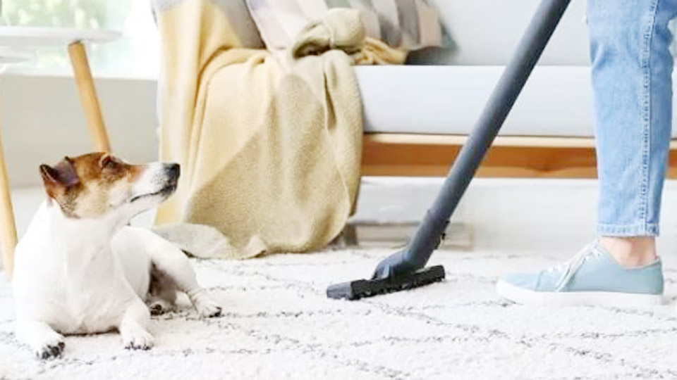 How Often to Clean Carpets with Pets