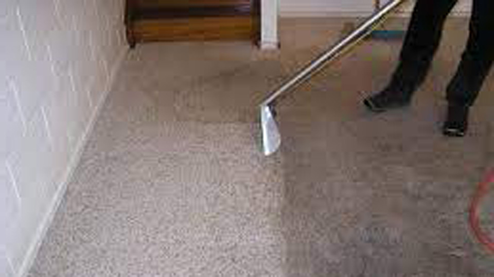 How to Dry Wet Carpet at Home