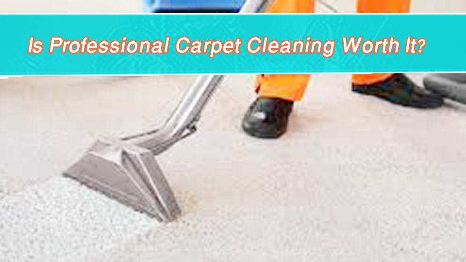 Is Professional Carpet Cleaning Worth It