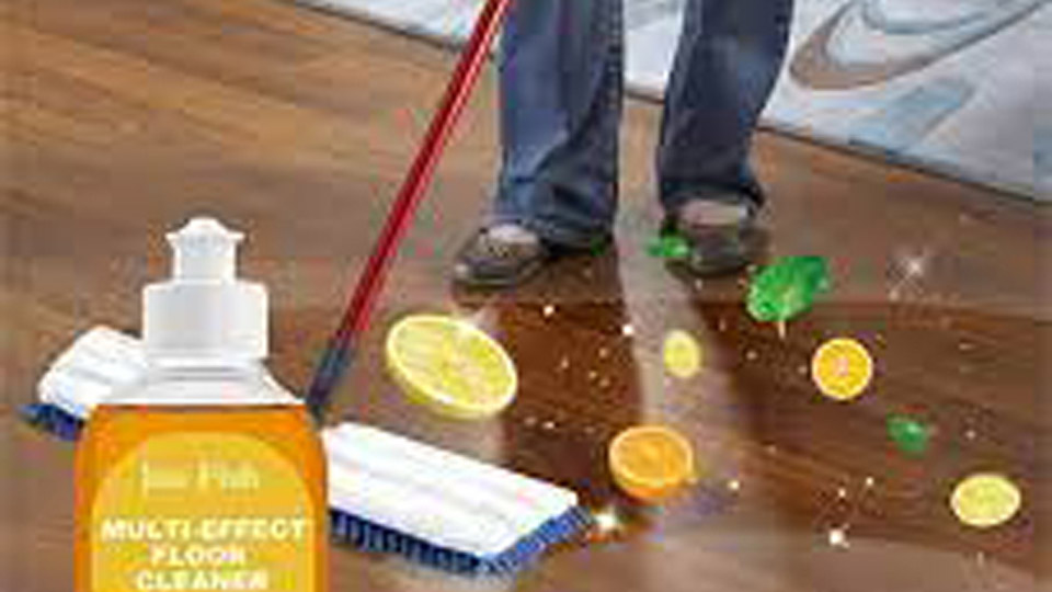 Jue Fish Floor Cleaner