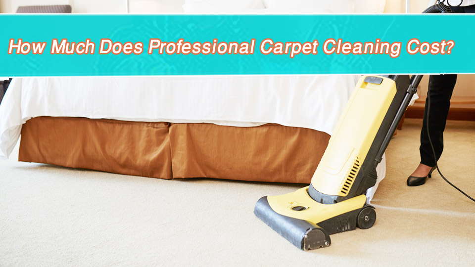 How Much Does Professional Carpet Cleaning Cost