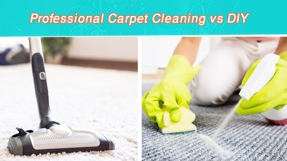 Professional Carpet Cleaning vs DIY: Which is Best for You?