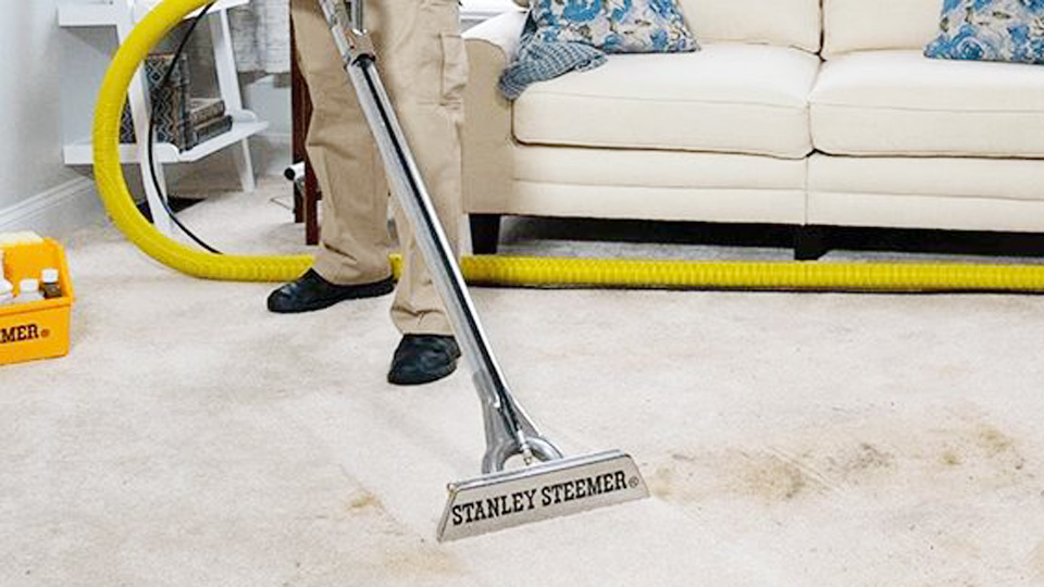 Stanley Steemer Carpet Cleaning Cost